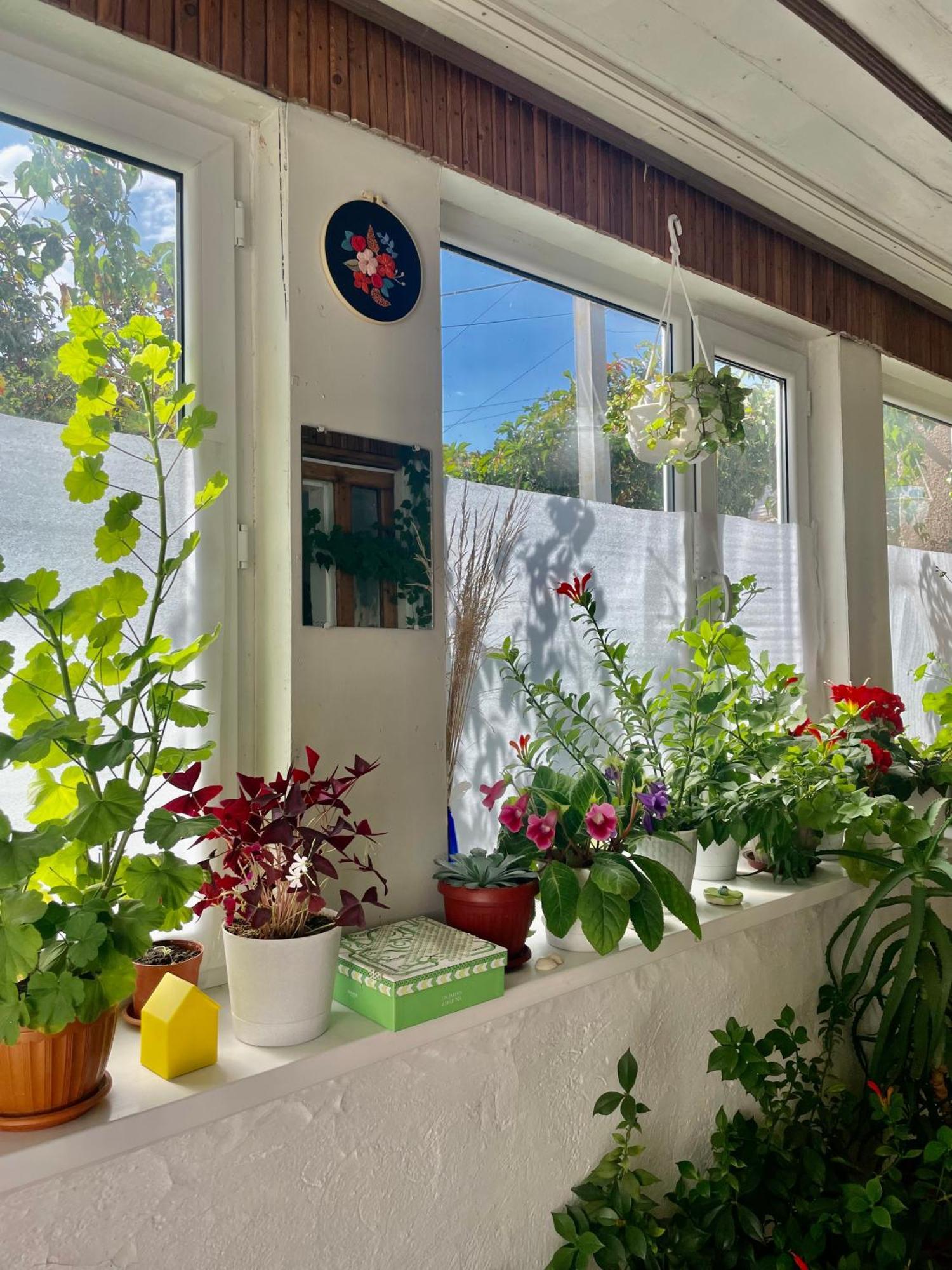 Gulnara Guest House Ysyk-Köl Zewnętrze zdjęcie